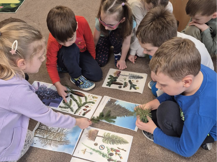 Lesní dobrodružství - poznáváme stromy